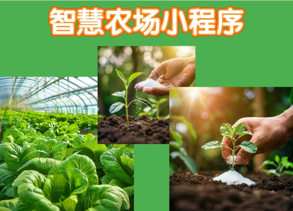 <b>智慧農場小程序：革新農業，賦能未來——引領新時代智慧農業潮流</b>